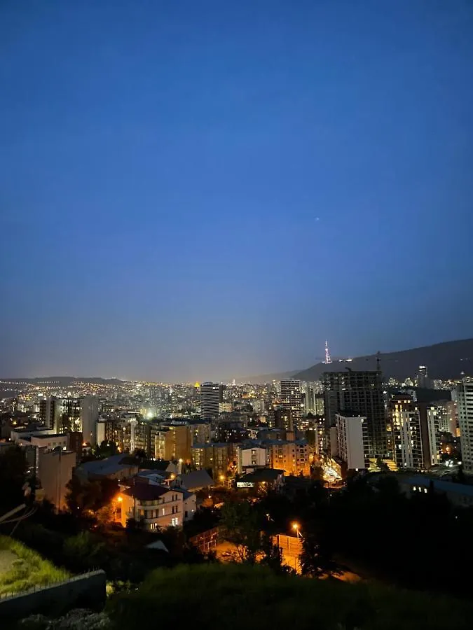 Apartment In Tbilisi